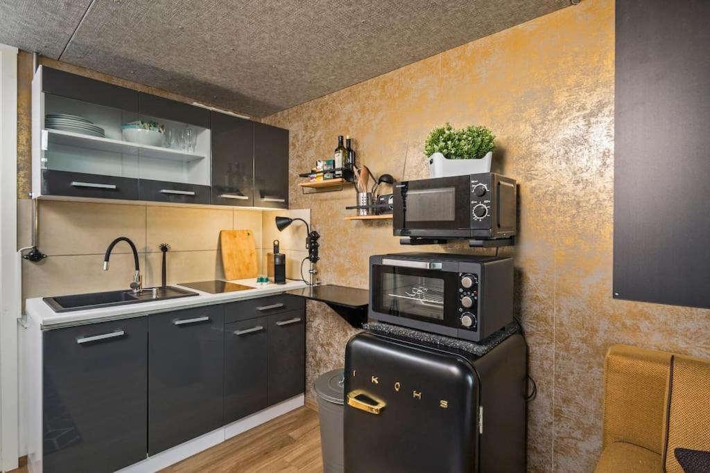 Dresden Loft An Der Elbe Apartment Екстериор снимка